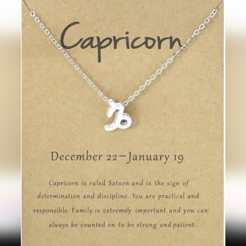 Silver Zodiac Necklace